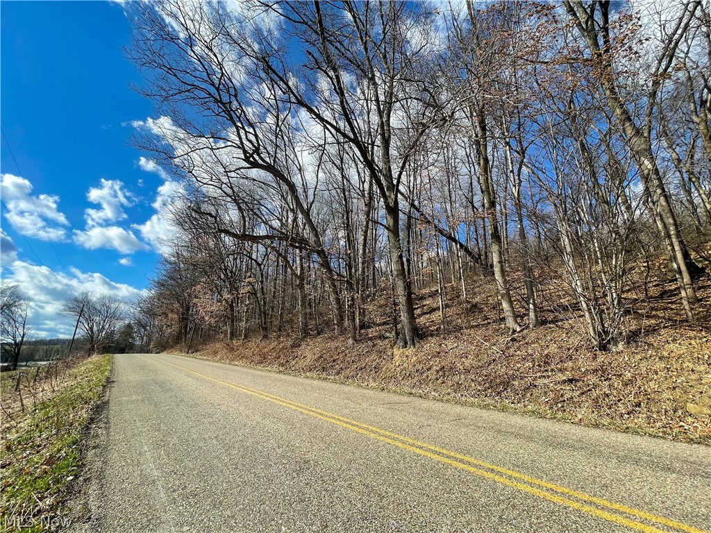 Walnut Creek Bottom Road Northwest Dundee, OH 44624 - Photo 10 of 21 Gallery Image 10