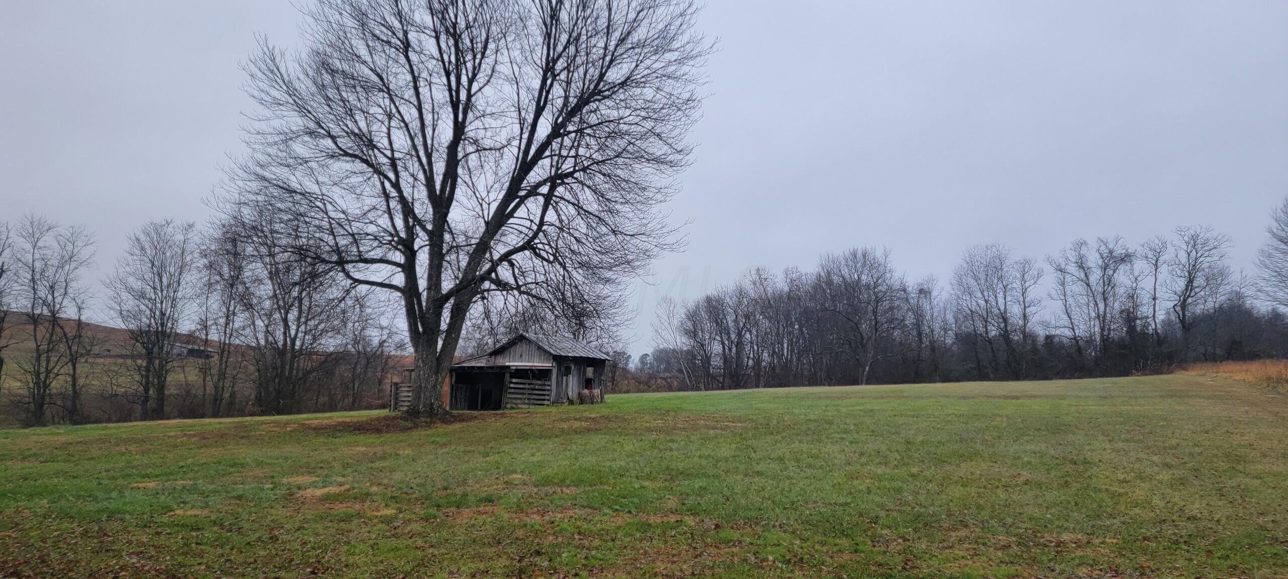 8224 Bull Run Road Vinton, OH 45686 - Photo 26 of 32 The Acreage