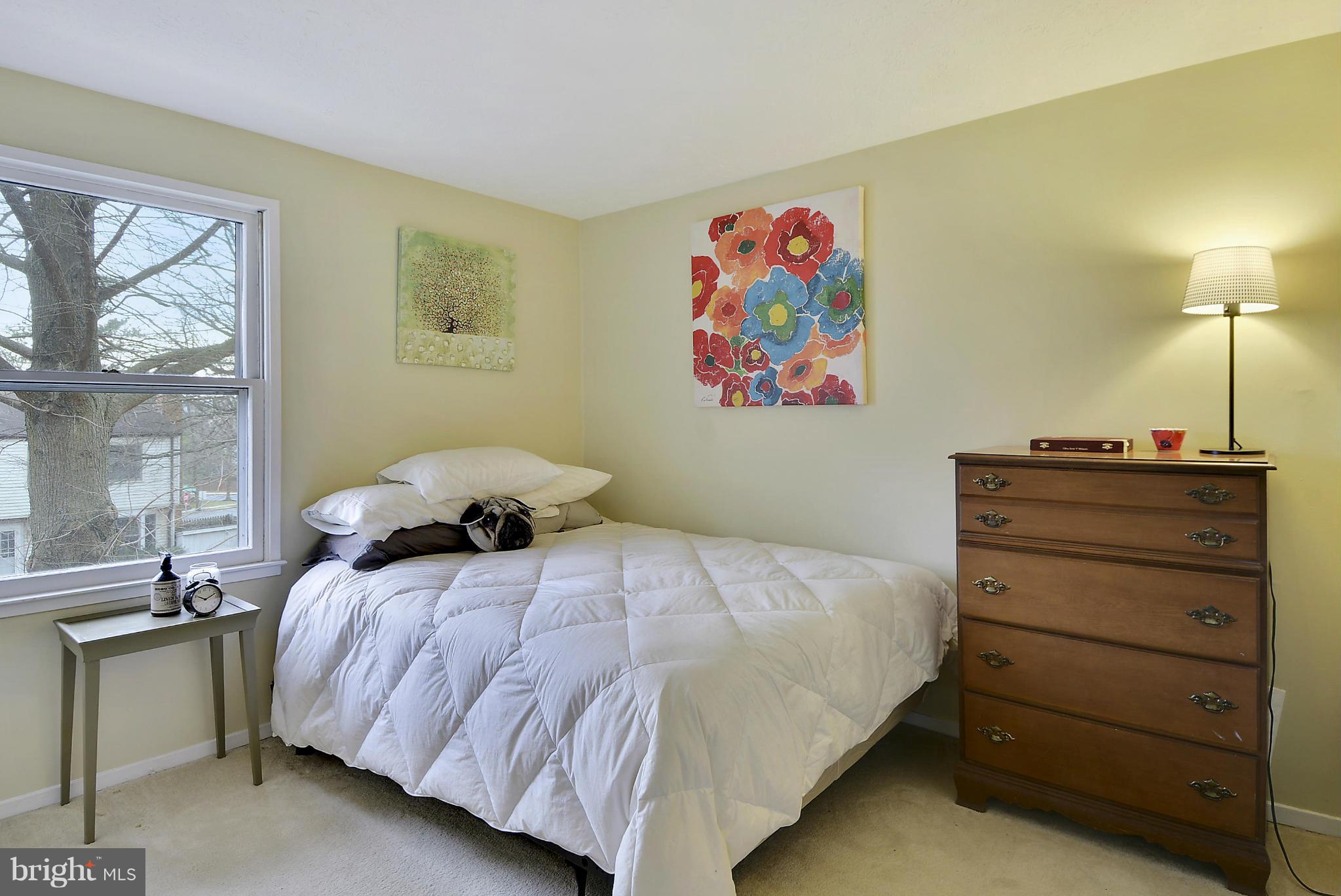 141 Annandale Road Falls Church, VA 22046 - Photo 14 of 30 a bedroom with a bed and a window