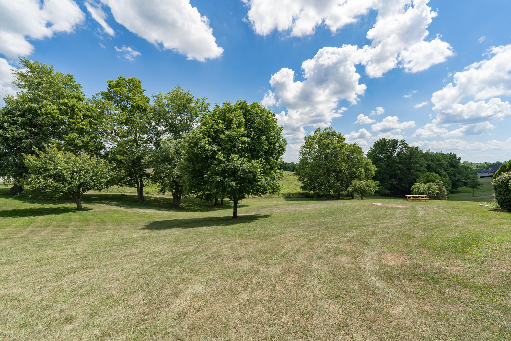 1502 Dry Ridge Mt Zion Road Dry Ridge, KY 41035 - Photo 47 of 48
