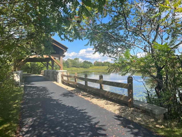 a view of a yard with large trees