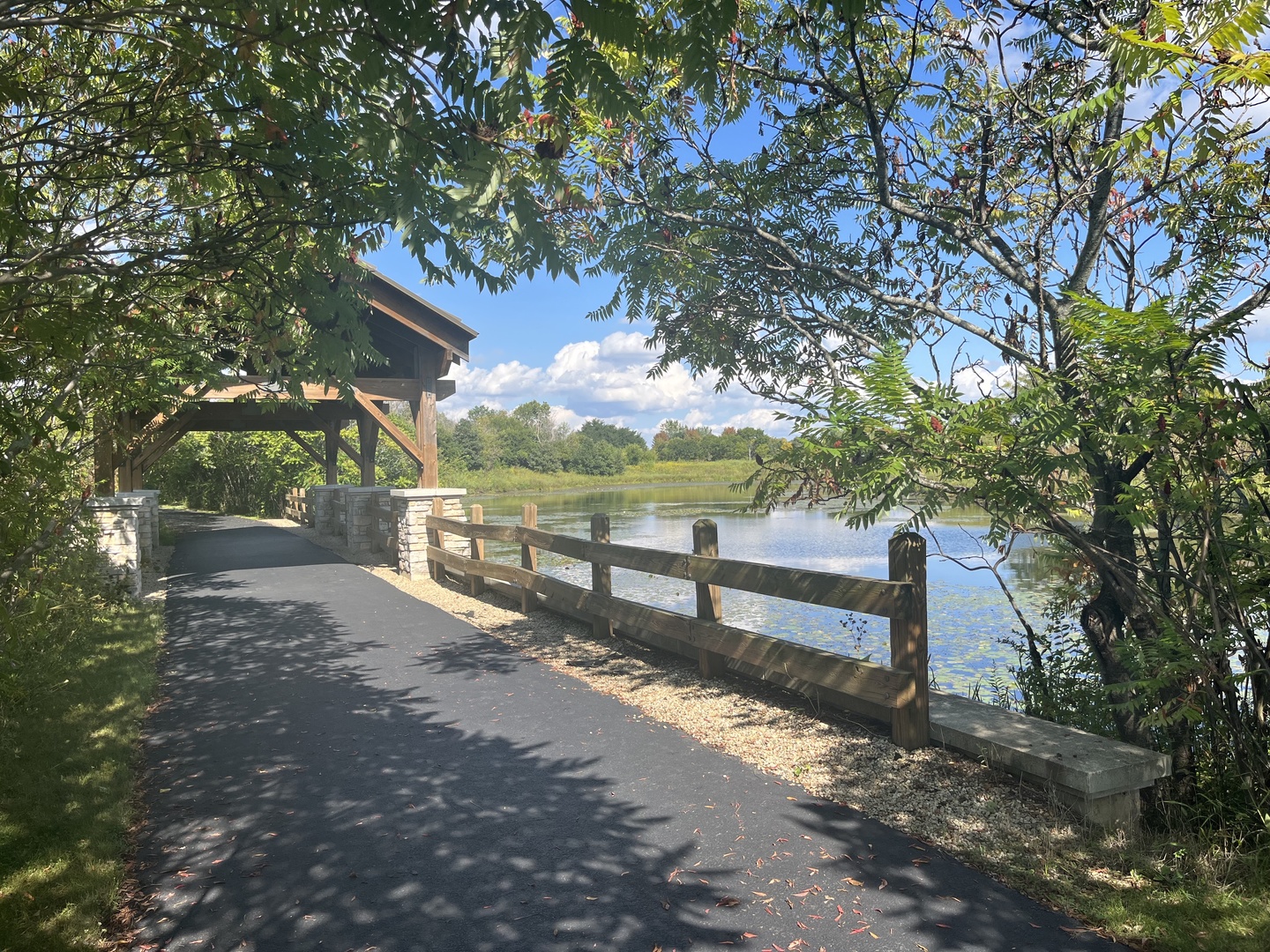 160 Isbell Drive Sugar Grove, IL 60554 - Photo 4 of 6 a view of a yard with large trees