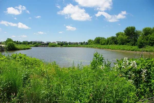 a view of a lake with a city