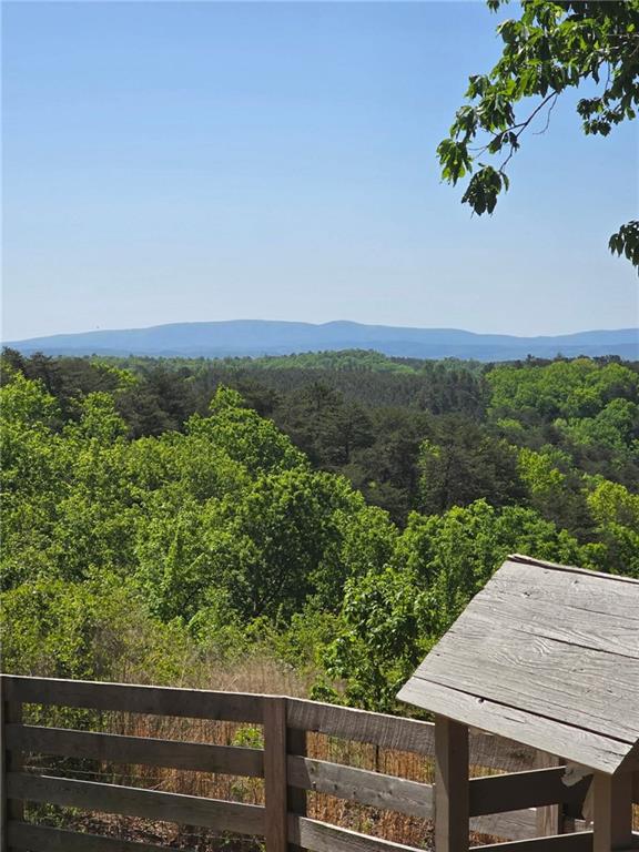 1528 Faith Court Ranger, GA 30734 - Photo 2 of 69