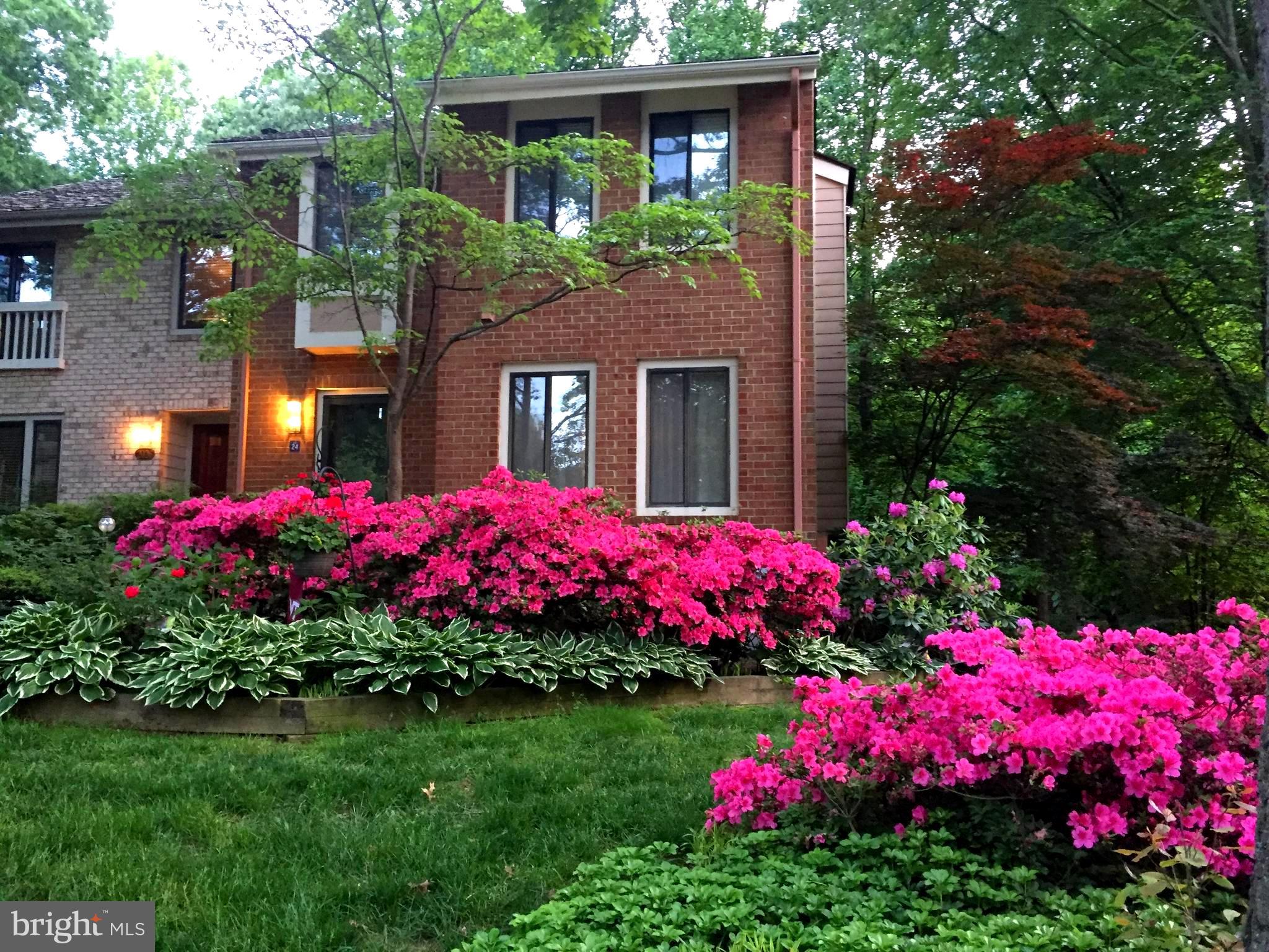 2024 Swans Neck Way Reston, VA 20191 - Photo 4 of 4