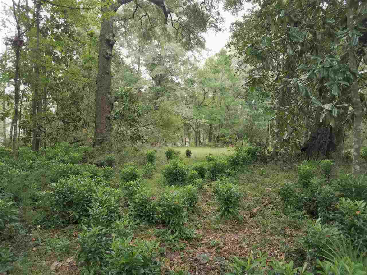 0 St Marks Rise Road Crawfordville, FL 32327 - Photo 2 of 6 Gallery Image 2