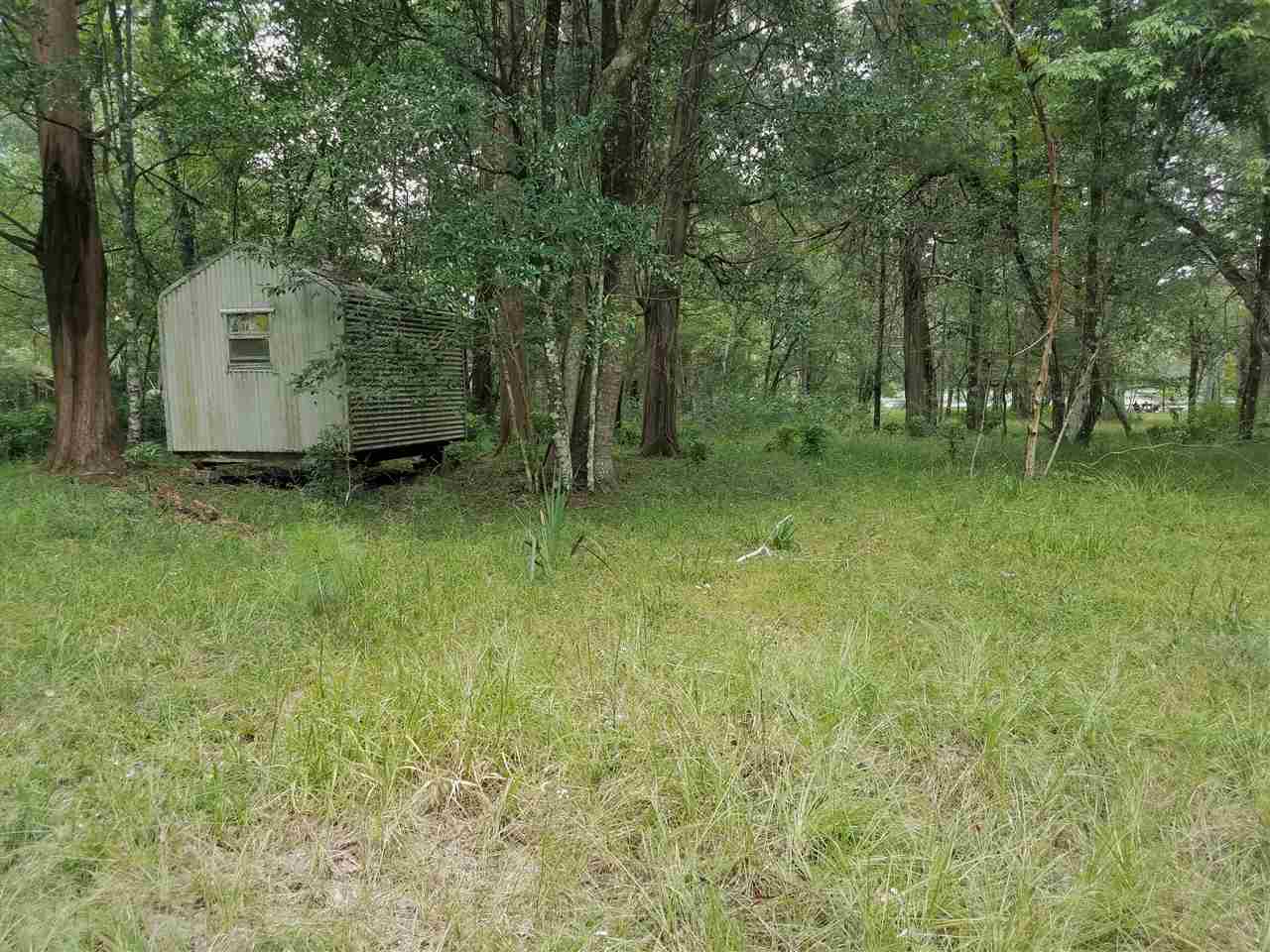 0 St Marks Rise Road Crawfordville, FL 32327 - Photo 3 of 6 Gallery Image 3