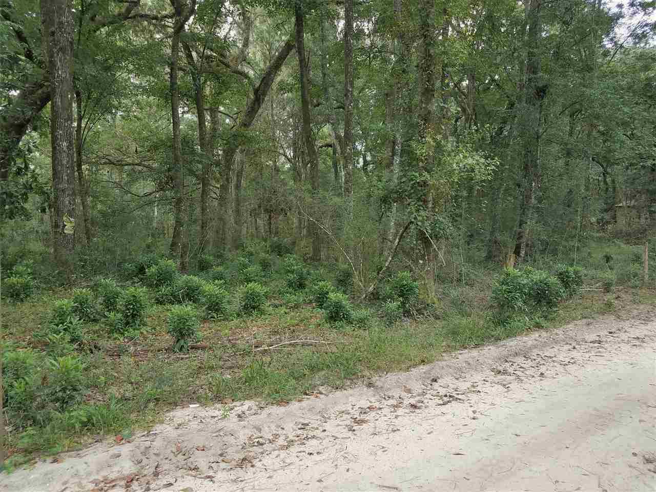 0 St Marks Rise Road Crawfordville, FL 32327 - Photo 4 of 6 Gallery Image 4