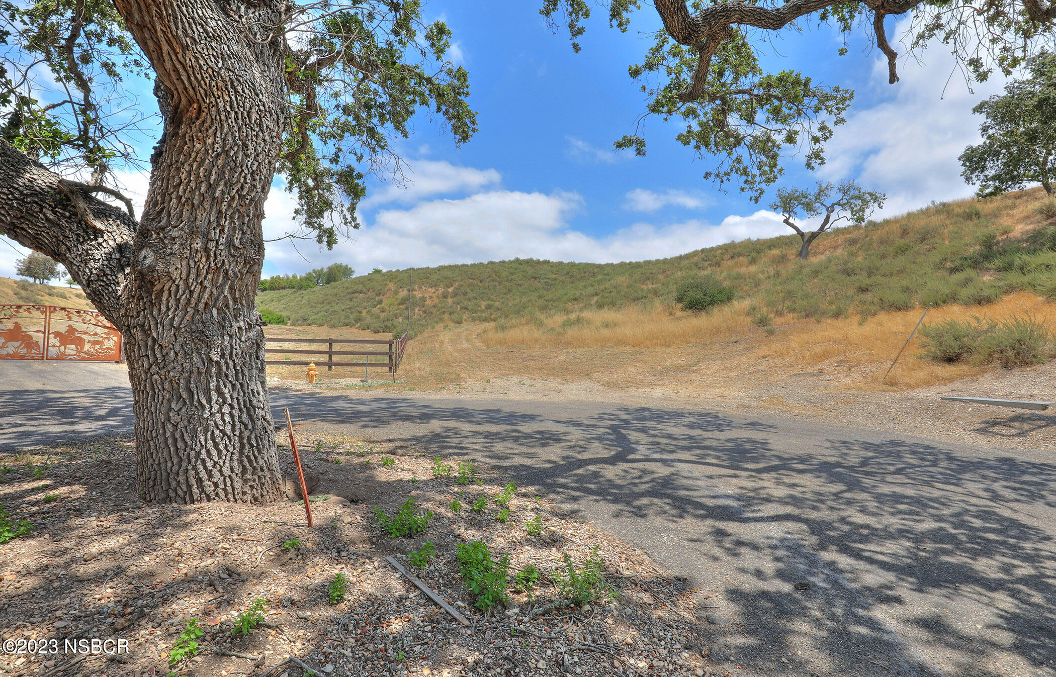 0 Buck Santa Ynez, CA 93460 - Photo 18 of 32 a view of a yard with a mountain