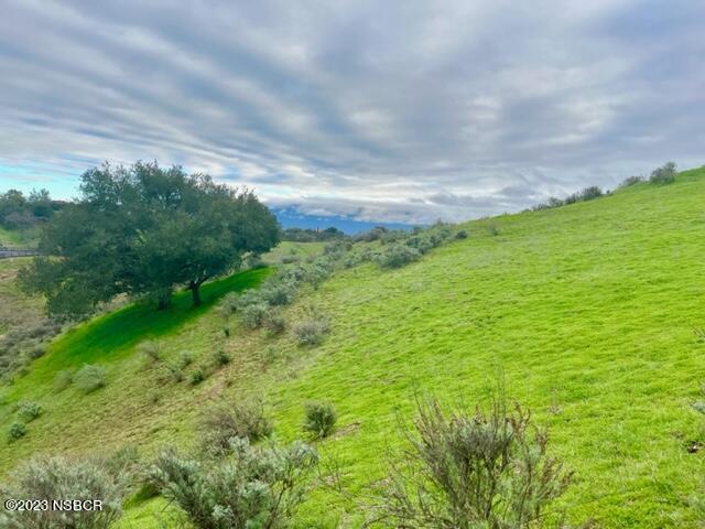 0 Buck Santa Ynez, CA 93460 - Photo 20 of 32 a backyard of a house with lots of green space