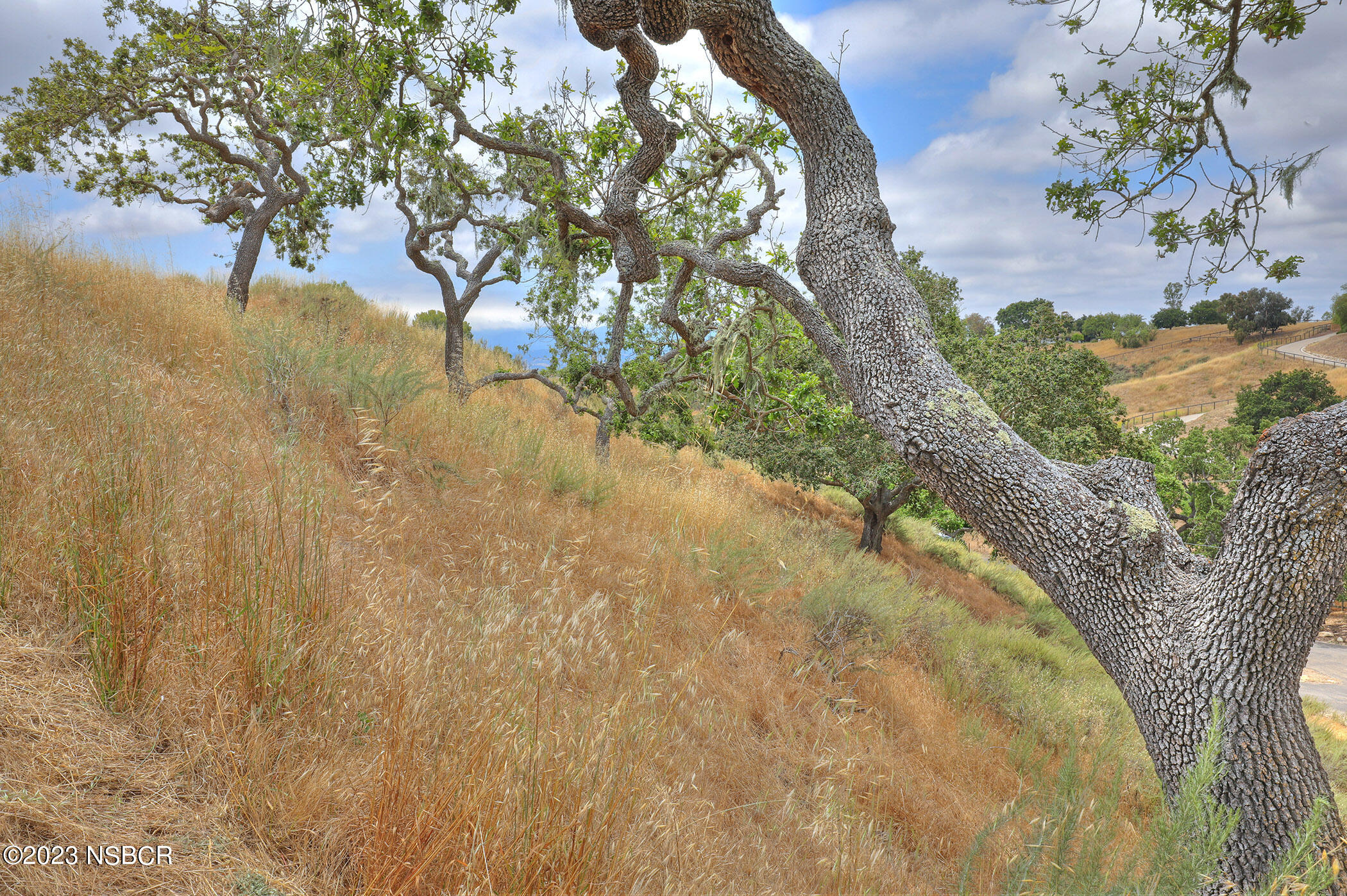 0 Buck Santa Ynez, CA 93460 - Photo 7 of 32 a view of beach and tree