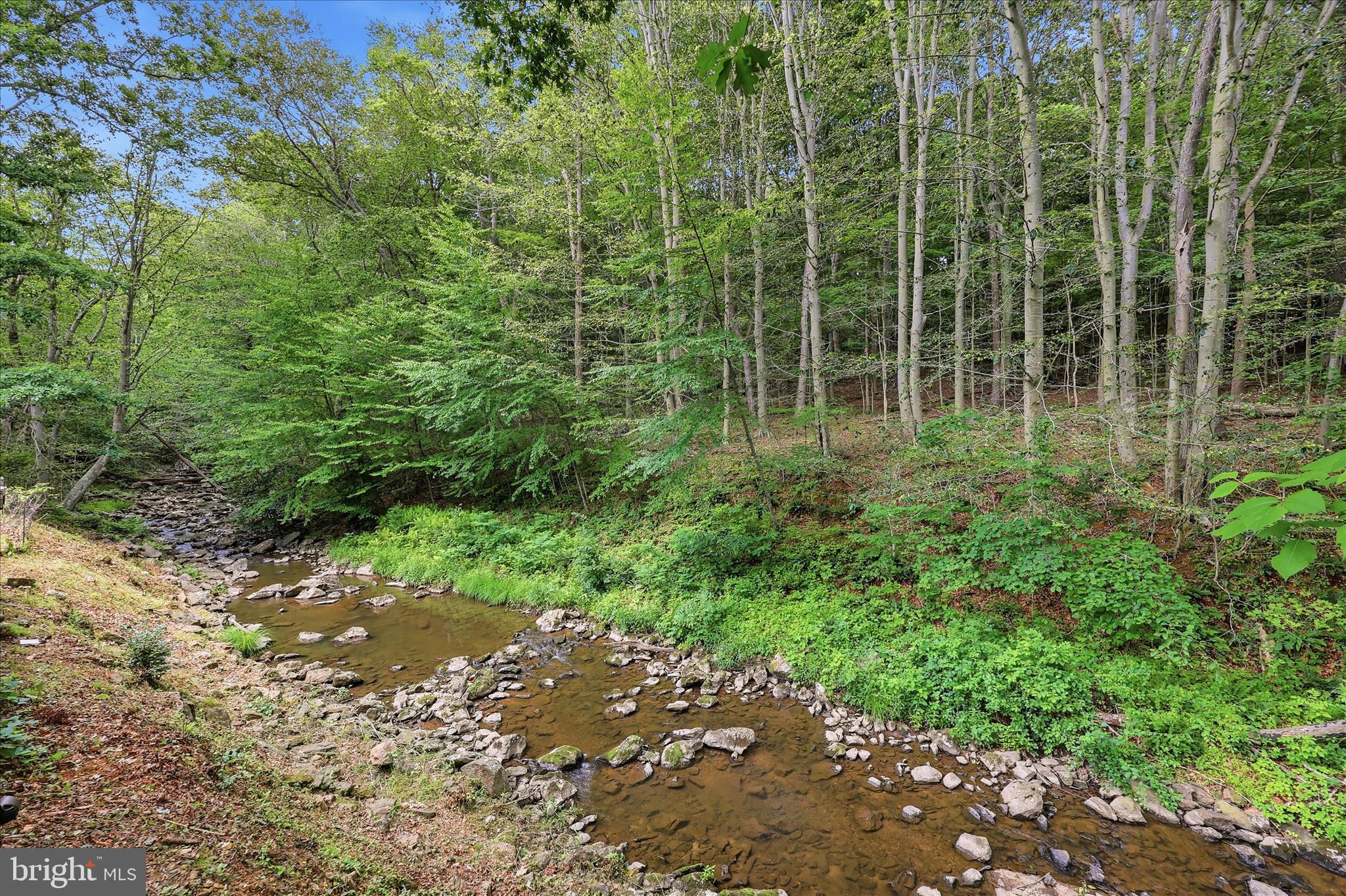 12870 Hayes Road Myersville, MD 21773 - Photo 46 of 50 12870 HAYES RD
