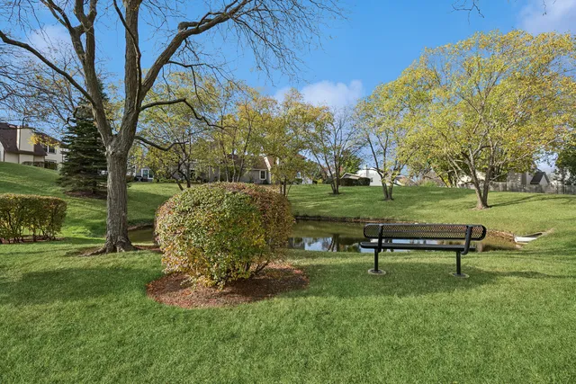 a view of a park with large trees