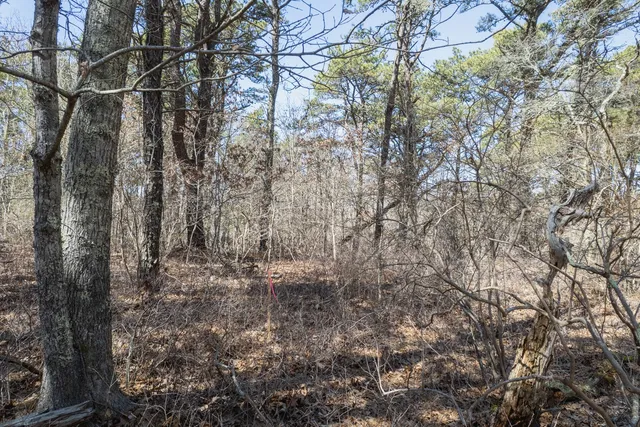 $1,295,000 | 37 Bijah's Way, Chilmark, MA 02535