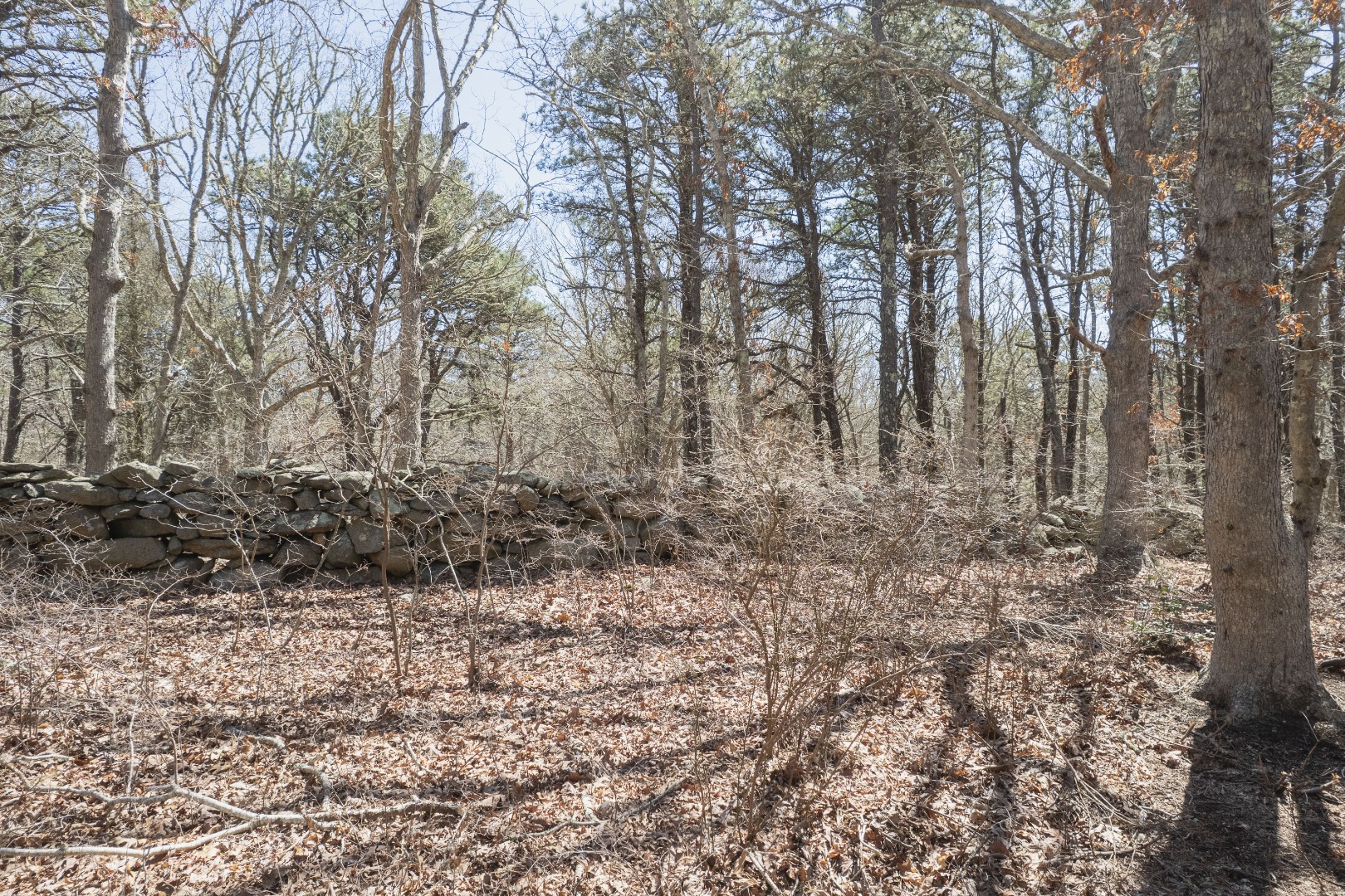 37 Bijah's Way Chilmark, MA 02535 - Photo 14 of 16