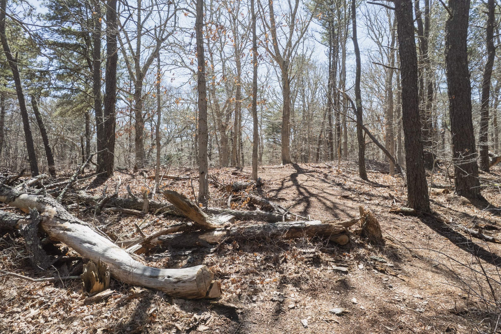 37 Bijah's Way Chilmark, MA 02535 - Photo 15 of 16