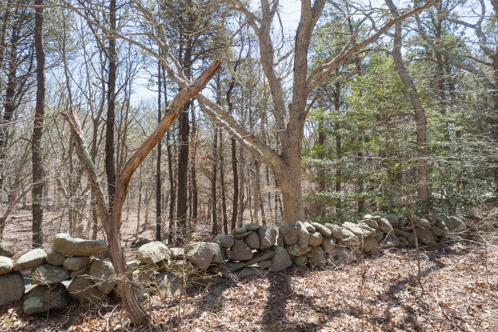 37 Bijah's Way Chilmark, MA 02535 - Photo 2 of 16
