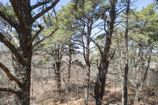 $1,295,000 | 37 Bijah's Way, Chilmark, MA 02535