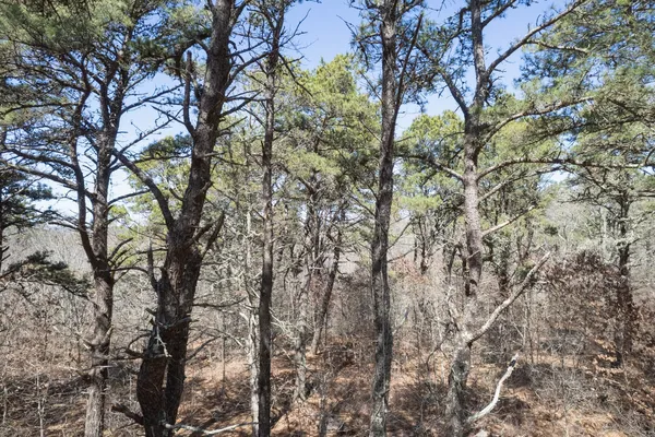 $1,295,000 | 37 Bijah's Way, Chilmark, MA 02535
