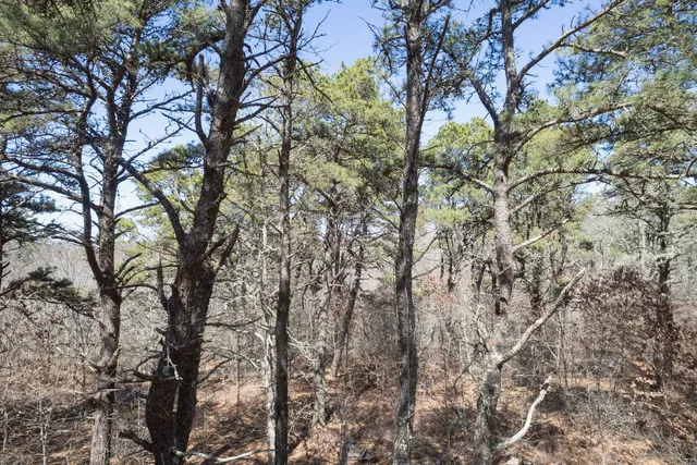 $1,295,000 | 37 Bijah's Way, Chilmark, MA 02535