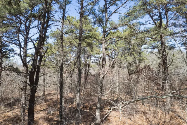 $1,295,000 | 37 Bijah's Way, Chilmark, MA 02535