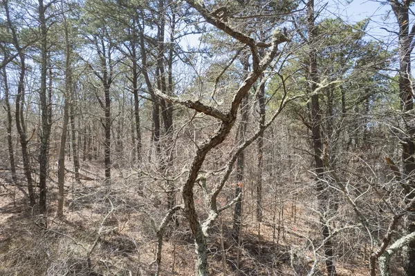 $1,295,000 | 37 Bijah's Way, Chilmark, MA 02535