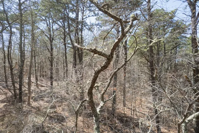 $1,295,000 | 37 Bijah's Way, Chilmark, MA 02535