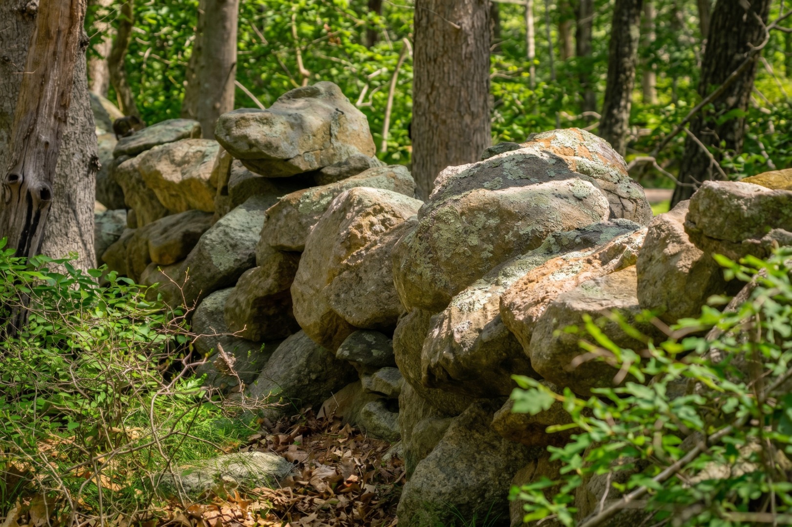 37 Bijah's Way Chilmark, MA 02535 - Photo 9 of 12 a view of an outdoor space