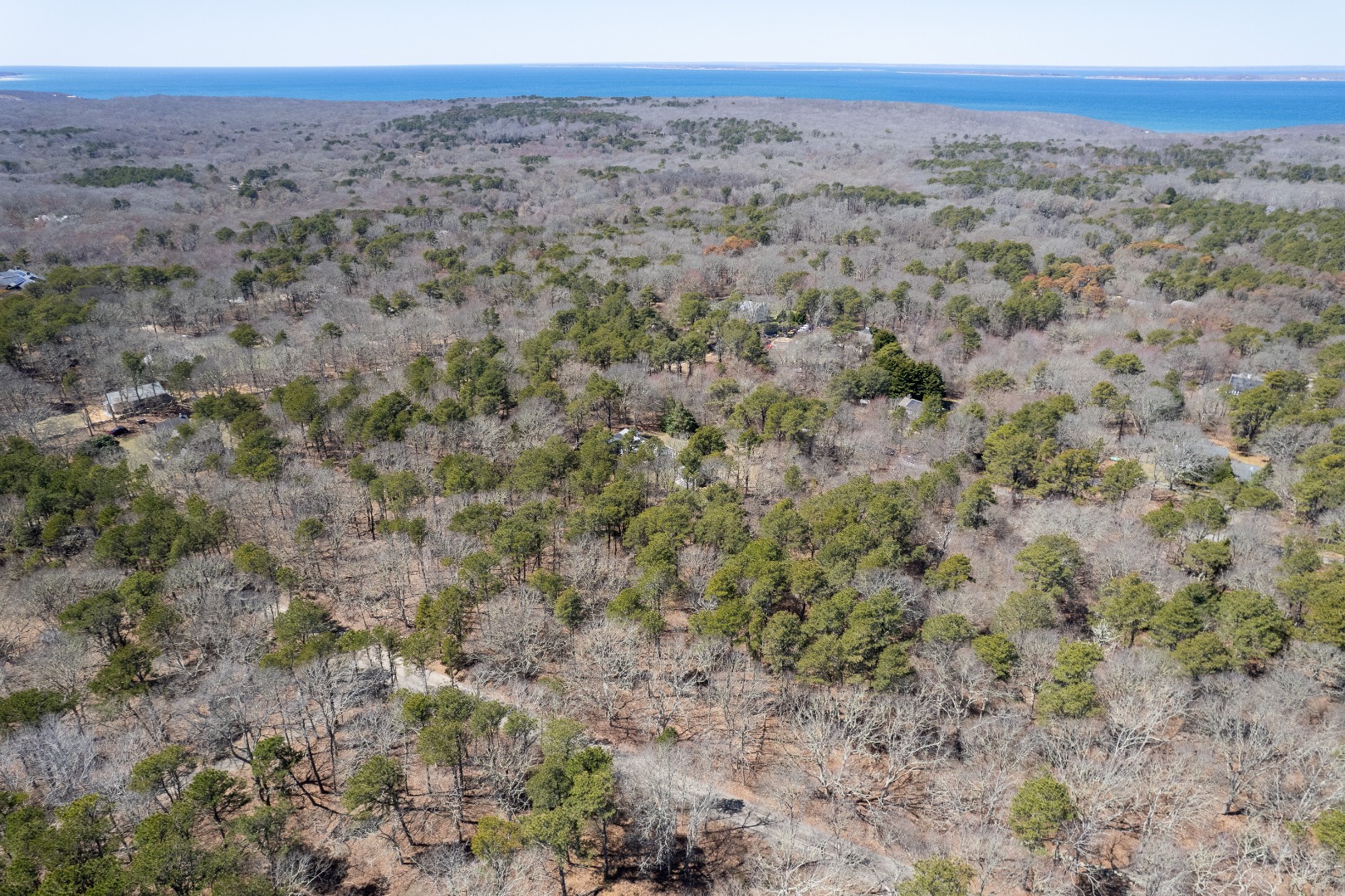 37 Bijah's Way Chilmark, MA 02535 - Photo 9 of 16