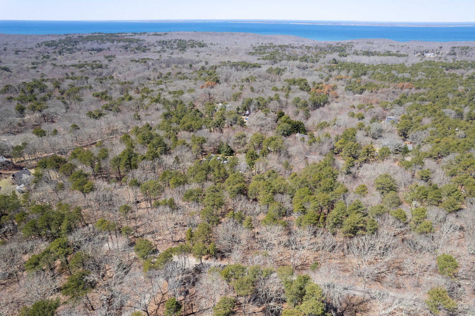 37 Bijah's Way Chilmark, MA 02535 - Photo 10 of 16