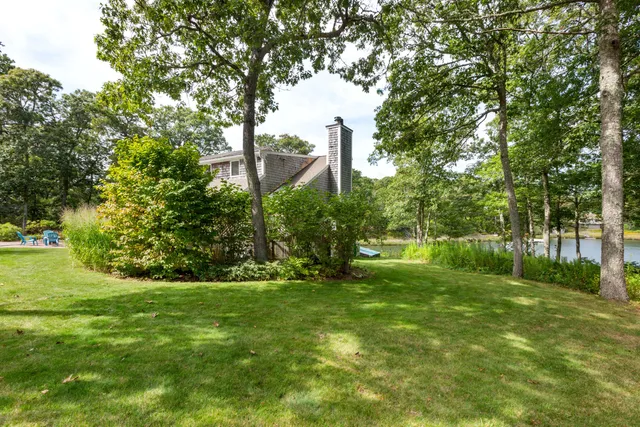 a view of a park with large trees