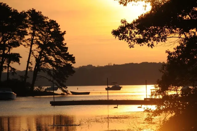 a view of swimming pool with a yard
