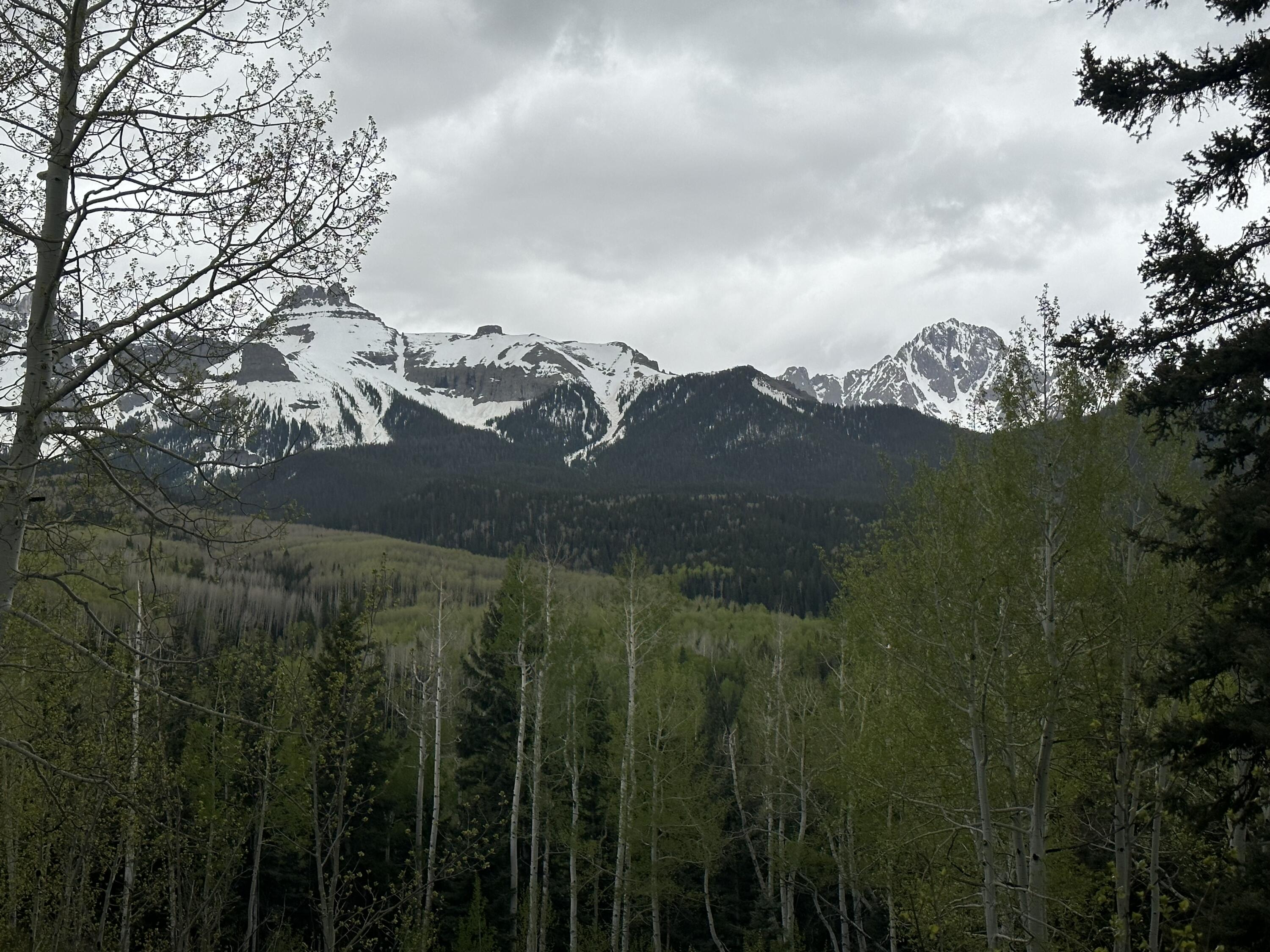5 County Road 5 Ridgway, CO 81432 - Photo 17 of 19 IMG-7683