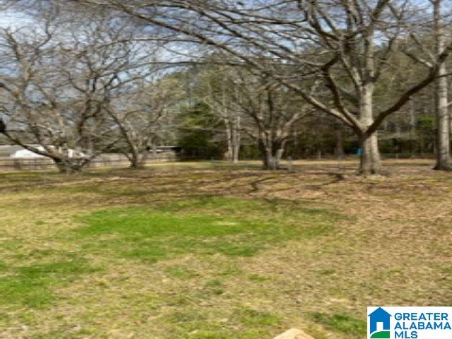 810 Golf Course Road Pell City, AL 35128 - Photo 22 of 26
