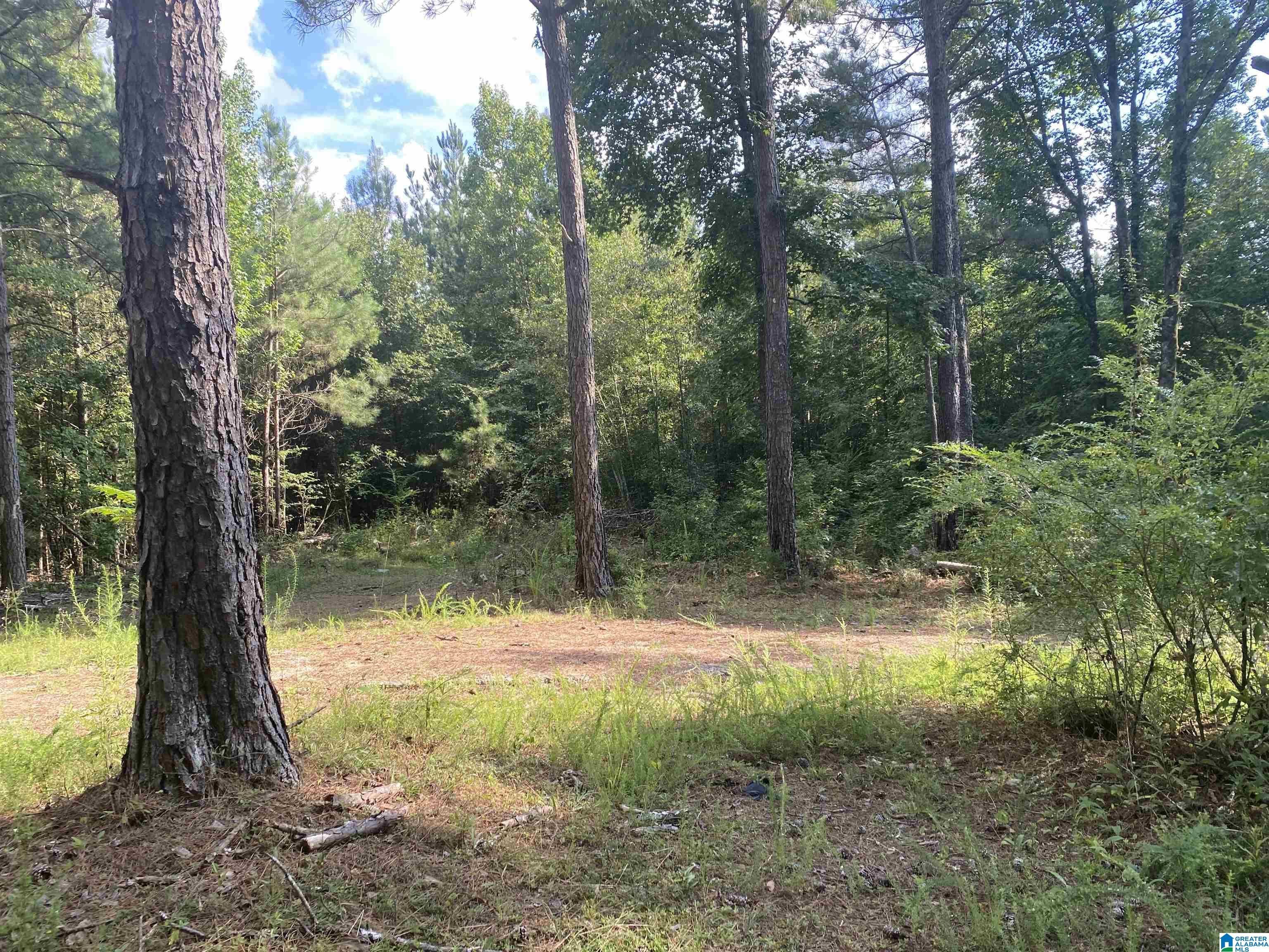 954 County Road 13, Unit 1 Cleveland, AL 35049 - Photo 11 of 19