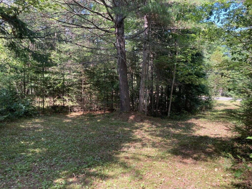 0 Long Falls Dam Road New Portland, ME 04961 - Photo 2 of 5 02-Camp or house lot