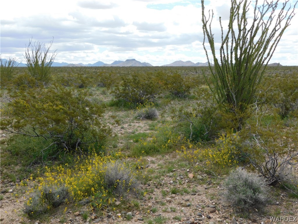 0 South Roll Road Yucca, AZ 86438 - Photo 1 of 15 Gallery Image 1