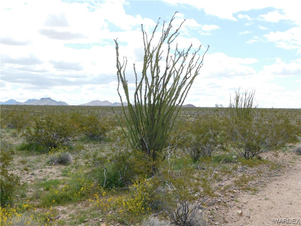 0 South Roll Road Yucca, AZ 86438 - Photo 11 of 15 Gallery Image 11