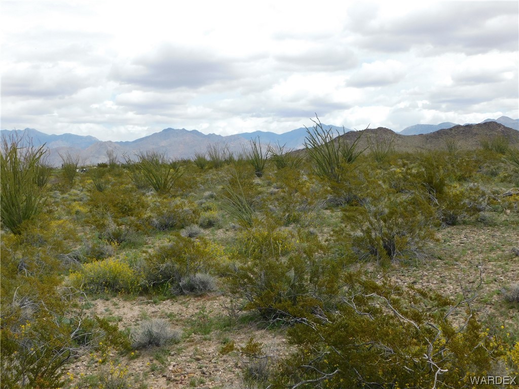 0 South Roll Road Yucca, AZ 86438 - Photo 12 of 15 Gallery Image 12