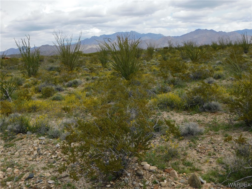 0 South Roll Road Yucca, AZ 86438 - Photo 13 of 15 Gallery Image 13