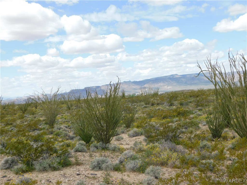 0 South Roll Road Yucca, AZ 86438 - Photo 14 of 15 Gallery Image 14