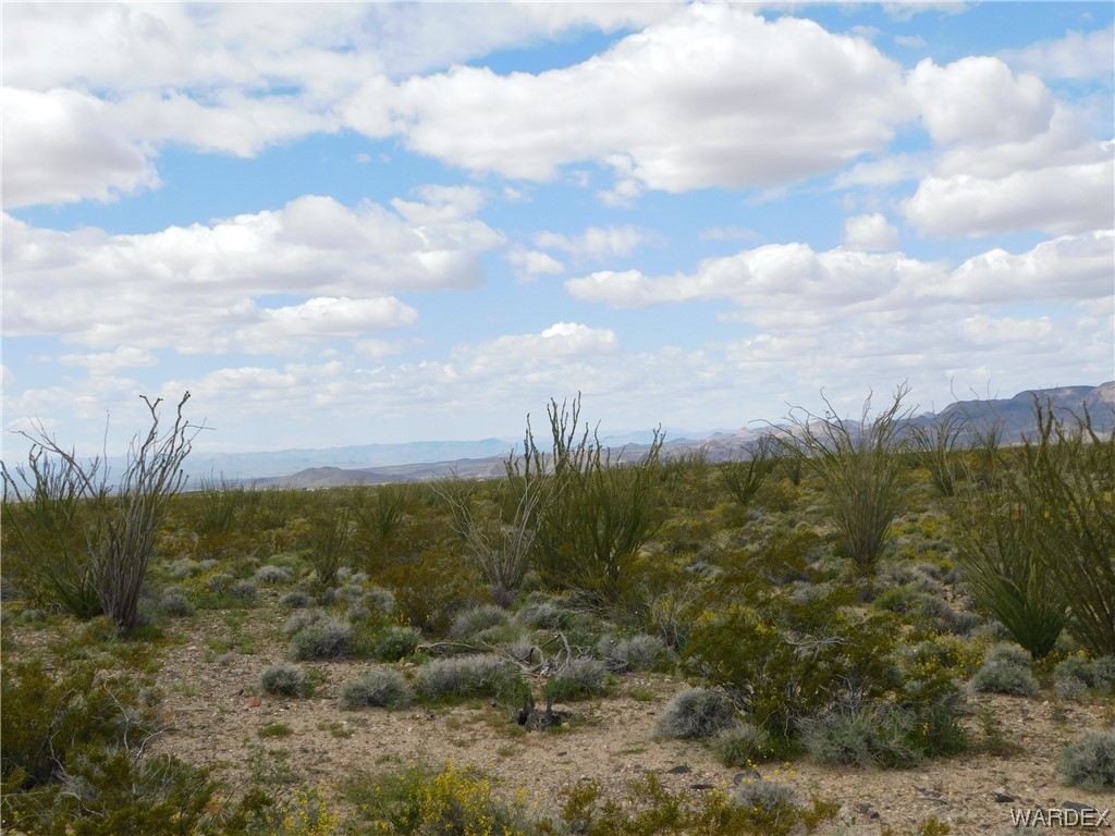 0 South Roll Road Yucca, AZ 86438 - Photo 15 of 15 Gallery Image 15