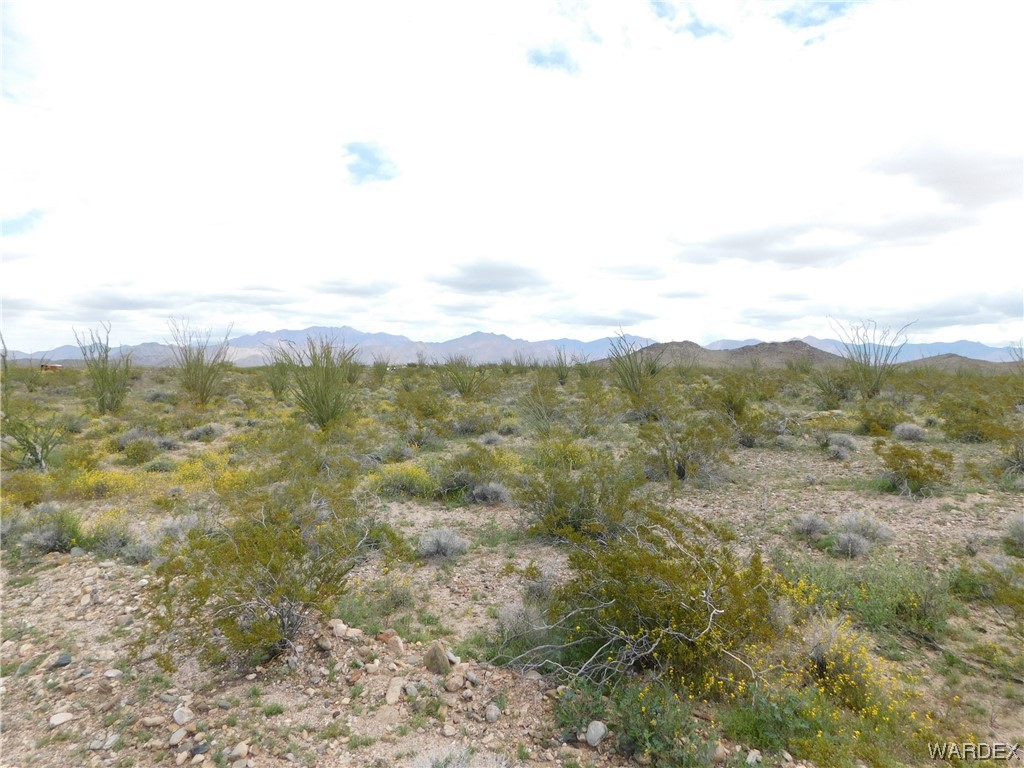 0 South Roll Road Yucca, AZ 86438 - Photo 2 of 15 Gallery Image 2