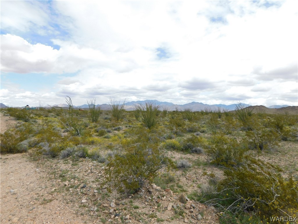 0 South Roll Road Yucca, AZ 86438 - Photo 3 of 15 Gallery Image 3
