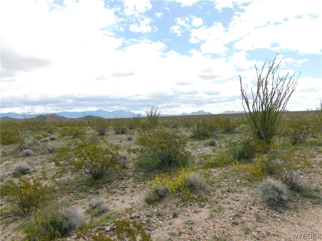 0 South Roll Road Yucca, AZ 86438 - Photo 4 of 15 Gallery Image 4