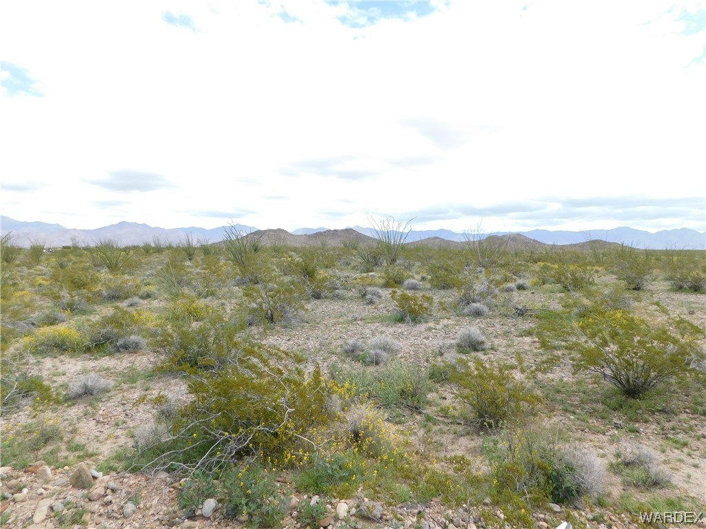 0 South Roll Road Yucca, AZ 86438 - Photo 8 of 15 Gallery Image 8