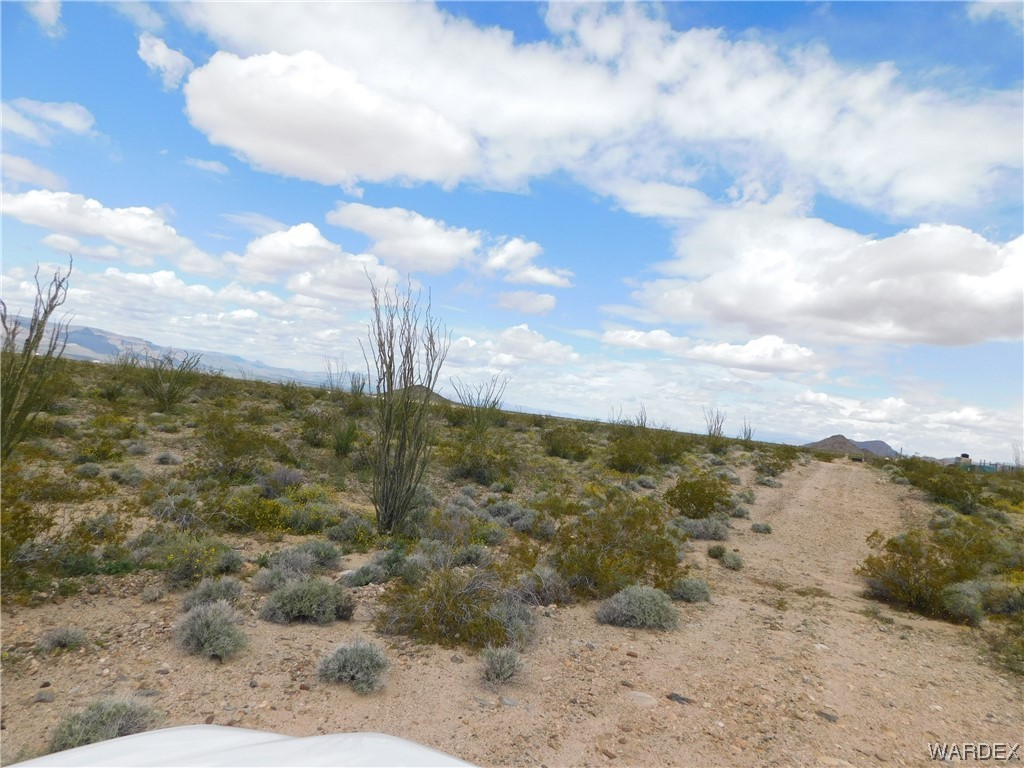 0 South Roll Road Yucca, AZ 86438 - Photo 10 of 15 Gallery Image 10