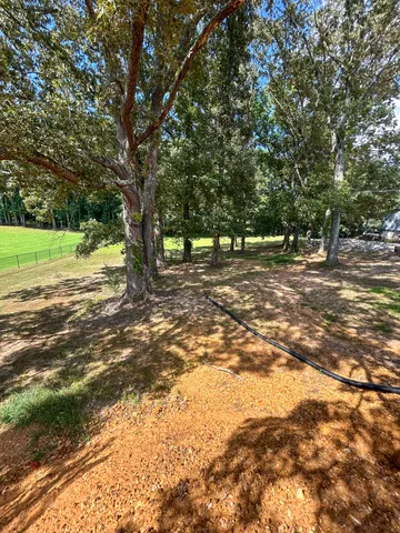 a view of a yard with a tree