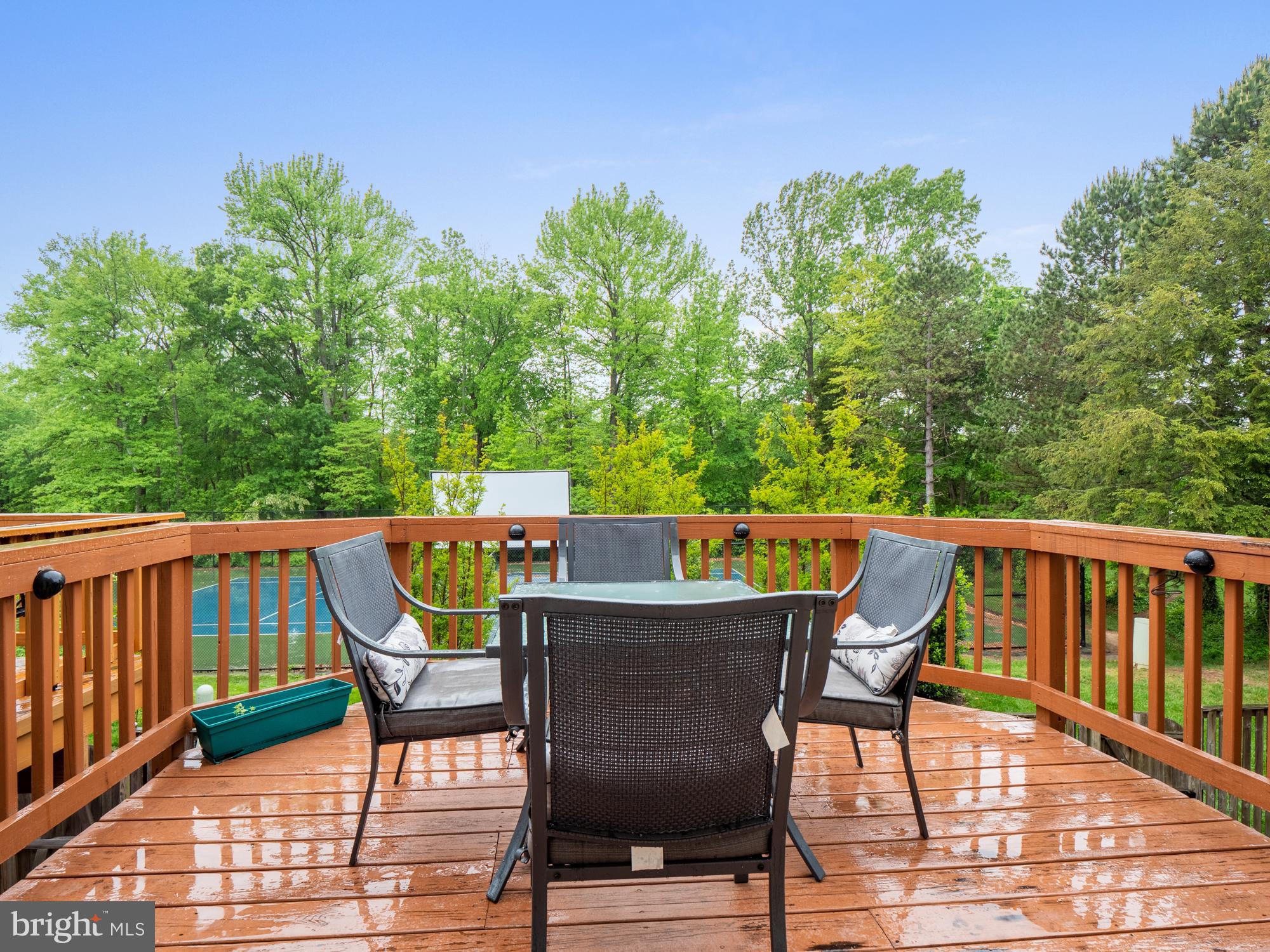 13538 Ruddy Duck Road Clifton, VA 20124 - Photo 27 of 29 Gallery Image 27