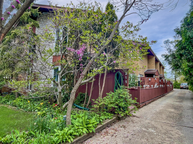 an outdoor view of garden